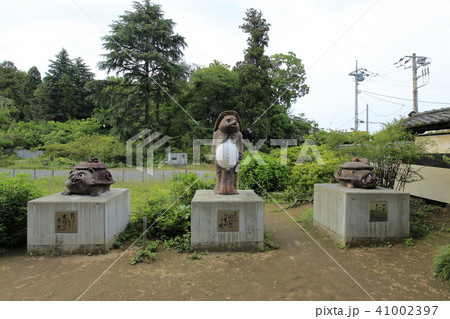 茂林寺 たぬき 館林 茂林寺 たぬき 館林 41002397