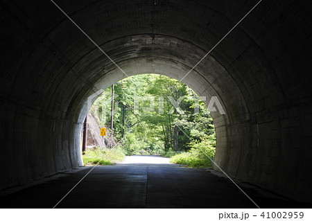 トンネルの先の新緑 41002959