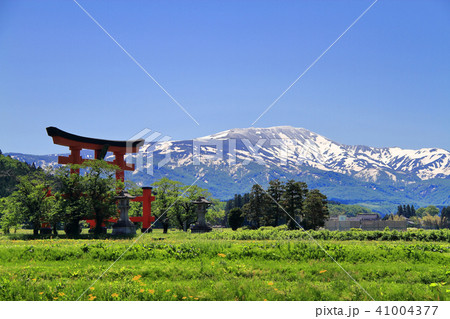 羽黒山大鳥居 41004377