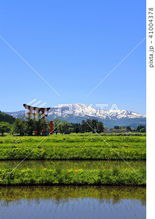 羽黒山大鳥居 41004378