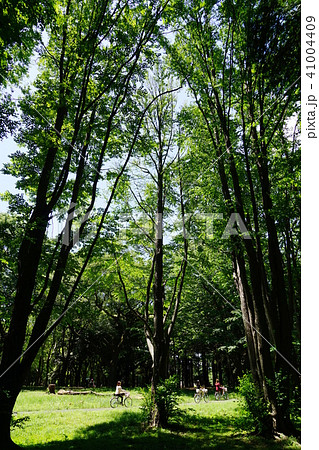 5月　代々木公園16ｻｲｸﾘﾝｸﾞで森林浴 41004409