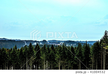 スギ林に囲まれたトラピスト修道院 41004532