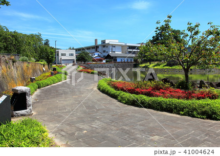 龍興寺沼公園 遊歩道 龍興寺沼公園 遊歩道 41004624
