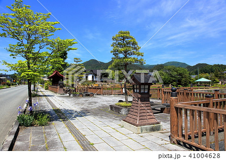 龍興寺沼公園　遊歩道 41004628