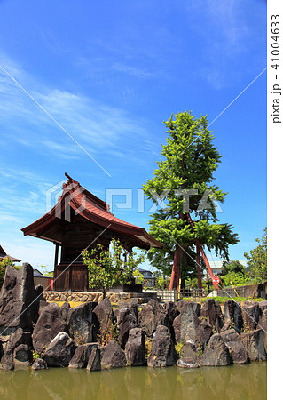 龍興寺沼公園 竜神神社 龍興寺沼公園 竜神神社 41004633