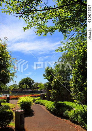 龍興寺沼公園　遊歩道 41004637