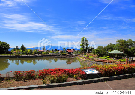 龍興寺沼公園 41004641