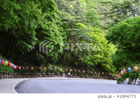 グインサ 小白山 道路 41004771