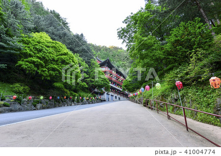 グインサ 小白山 道路 41004774