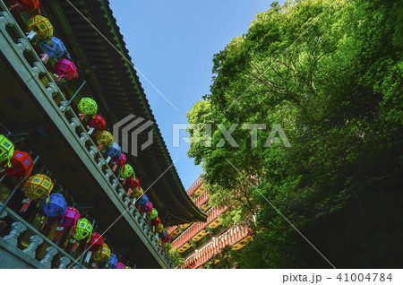 グインサ 小白山 提灯 41004784