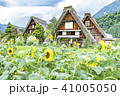 Shirakawago, Japan. 41005050