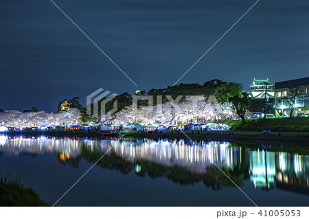 Cherry blossom, Japan. 41005053