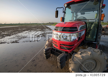 代搔き　田植え　5月　春　早苗 41005729