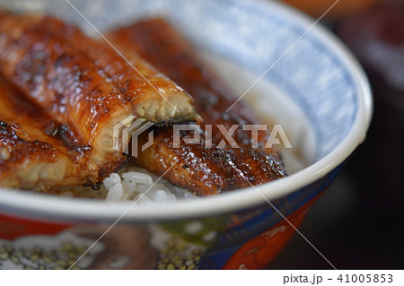 ウナギ　かば焼き　sdgs 絶滅危惧　食料自給　サステイナブル　持続可能 41005853