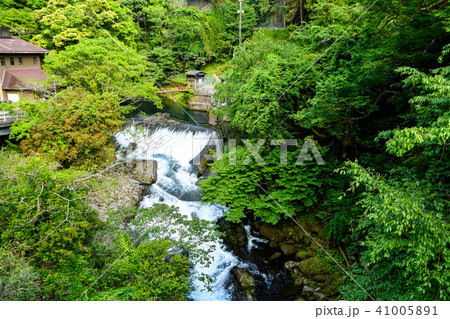 菊池渓谷　水源と山　Kikuchi Valley Water source and mountain 41005891