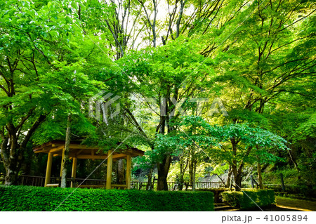 菊池渓谷 水源と山 Kikuchi Valley Water source and mountain 菊池渓谷 水源と山 Kikuchi Valley Water source and mountain 41005894
