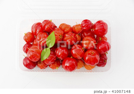 ピタンガ 41007148