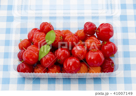 ピタンガ 41007149