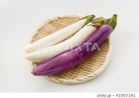 白い長茄子と薄紫長茄子の写真素材