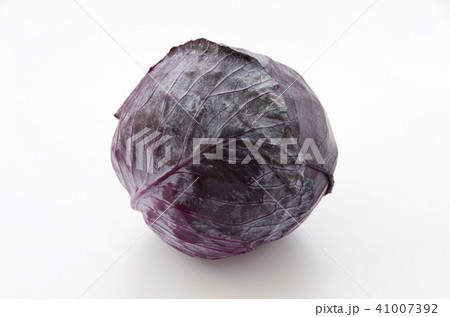 紫キャベツ 紫キャベツ 41007392