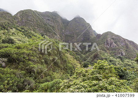 マウイ 山 森 41007599