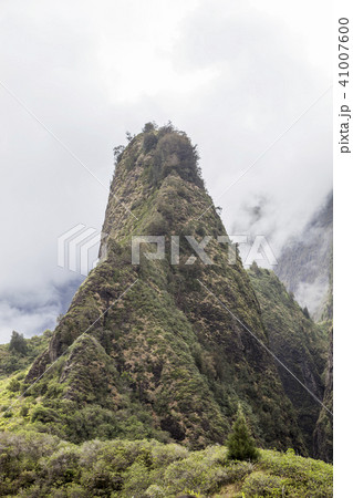マウイ 山 森 41007600