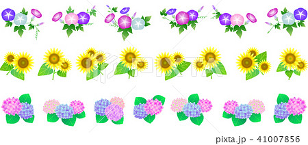 夏の花 飾り罫 ライン 朝顔 向日葵 紫陽花のイラスト素材