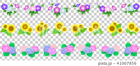 夏の花 飾り罫 ライン 朝顔 向日葵 紫陽花のイラスト素材