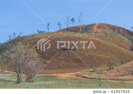 Landscape viewpoint of Grass Mountain. Landscape viewpoint of Grass Mountain. 41007926