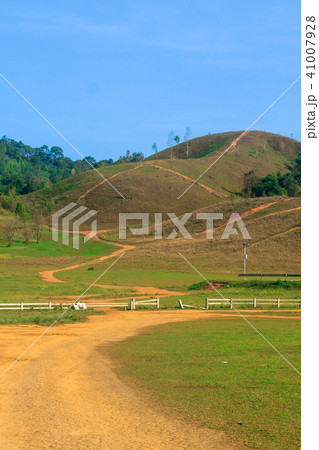 Landscape viewpoint of Grass Mountain. 41007928