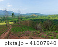 Landscape viewpoint of Grass Mountain. 41007940