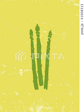 アスパラガス　水彩画 41008313