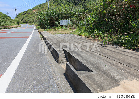 ヤンバルクイナが道路から戻るようの階段です。 41008439