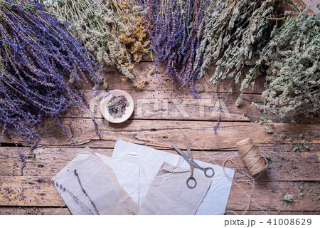 Gathering Wild Herbs Medicinal Alternative 41008629