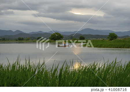 牛浦 昌寧郡 湿地 41008716