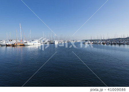 ヨットハーバー ヨットハーバー 41009086