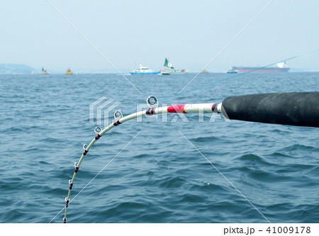 東京湾浦賀航路付近で釣り 東京湾浦賀航路付近で釣り 41009178