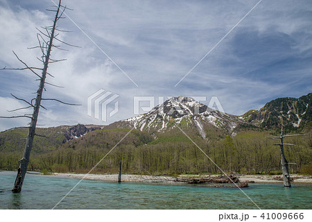 上高地　大正池と焼岳（新緑） 41009666