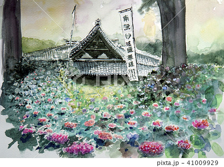 小室山 妙法寺 あじさい寺 手書き スケッチのイラスト素材