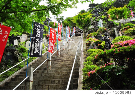 鎌倉市 建長寺半僧坊本殿への石段と新緑の写真素材