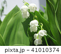 スズランの花 41010374