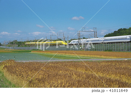 麦秋のドクターイエロー 麦秋のドクターイエロー 41011649