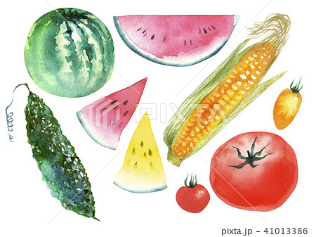 夏野菜 果物 水彩 イラストのイラスト素材 41013386 Pixta