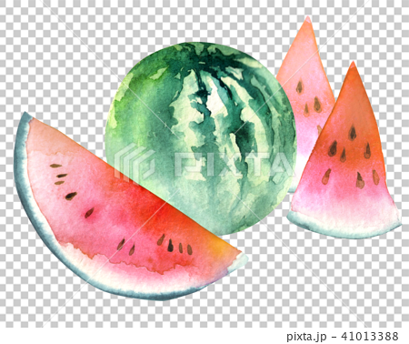 Watermelon Fruit Fruits Stock Illustration