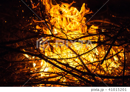 Branches in the fire 41015201
