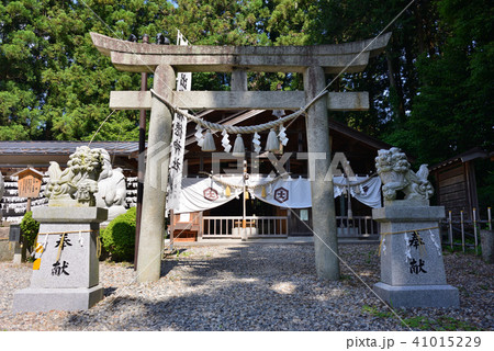 出雲福徳神社 出雲福徳神社 41015229