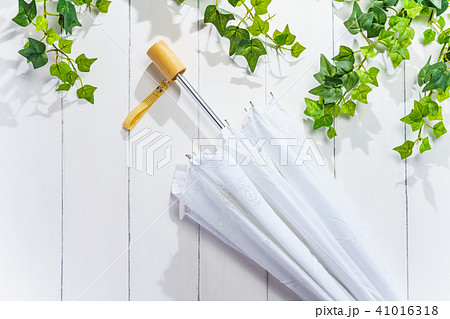 日傘 日傘 41016318