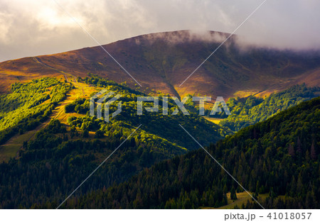 low clouds above the forested hill in sunlight low clouds above the forested hill in sunlight 41018057