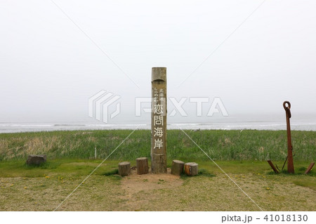 朝霧に包まれた恋問海岸 朝霧に包まれた恋問海岸 41018130