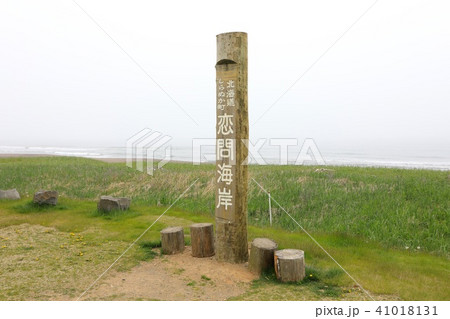 朝霧に包まれた恋問海岸 朝霧に包まれた恋問海岸 41018131
